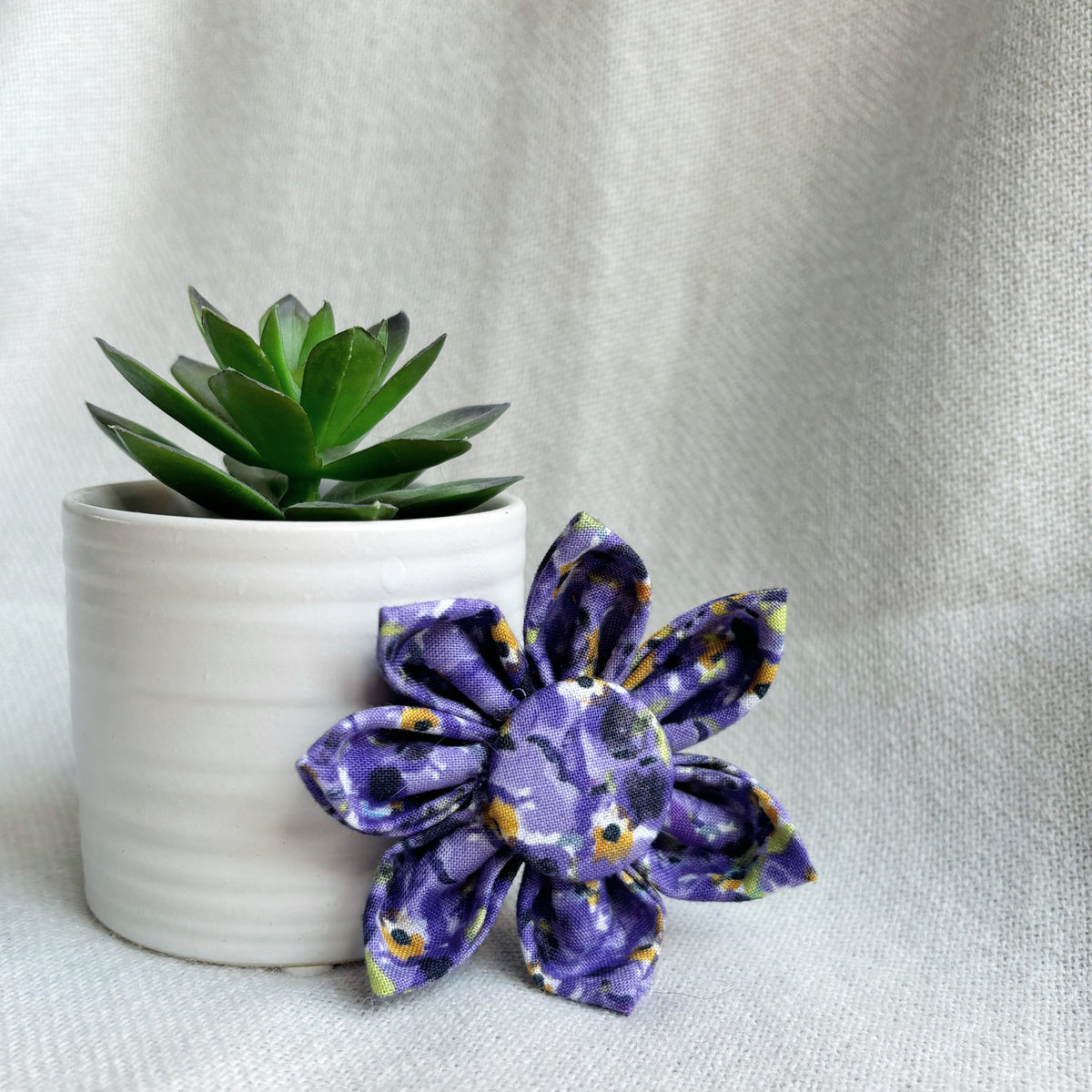Violet Bloom Flower