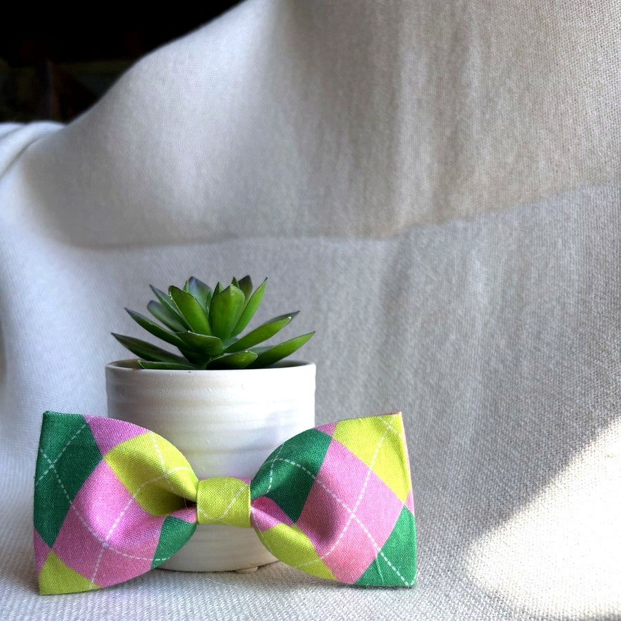 Argyle Bow/ BowTie