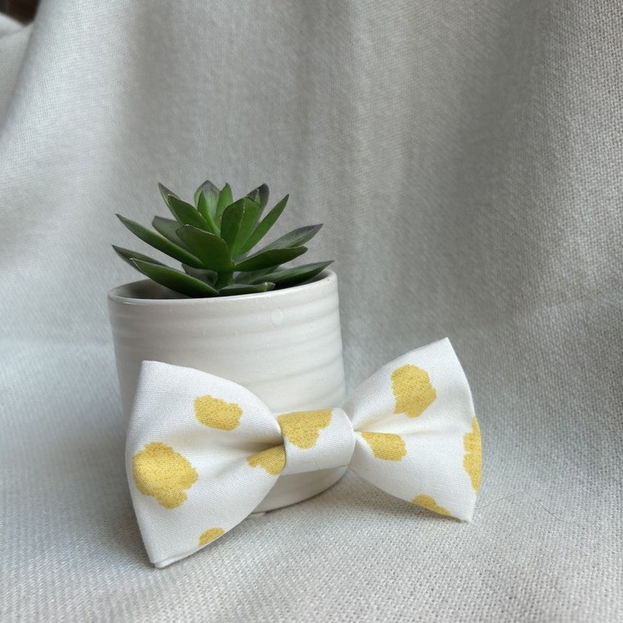Golden Splash Mini Bow/ Bowtie