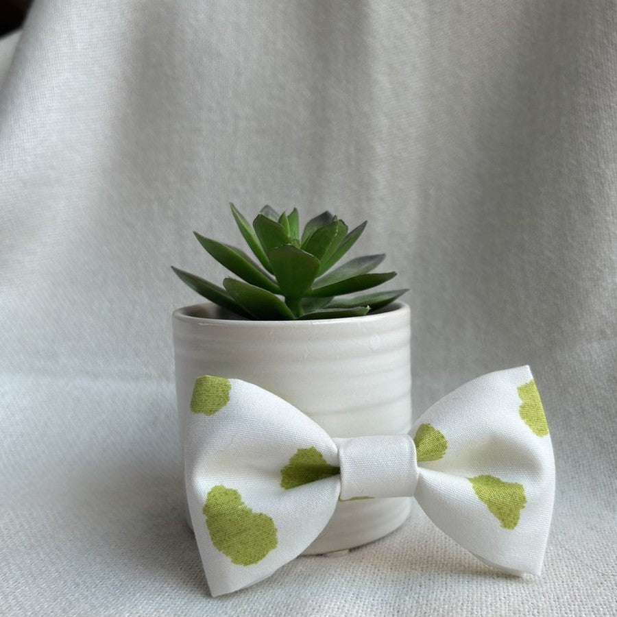 Olive Splash Mini Bow/ Bowtie
