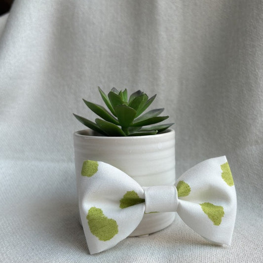 Olive Splash Mini Bow/ Bowtie