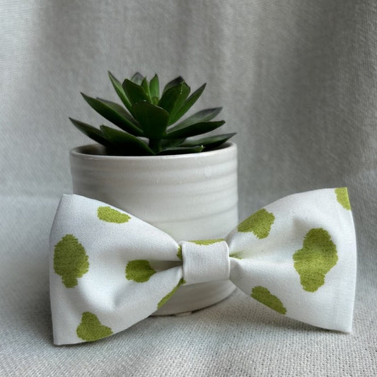 Olive Splash Bow/ Bowtie