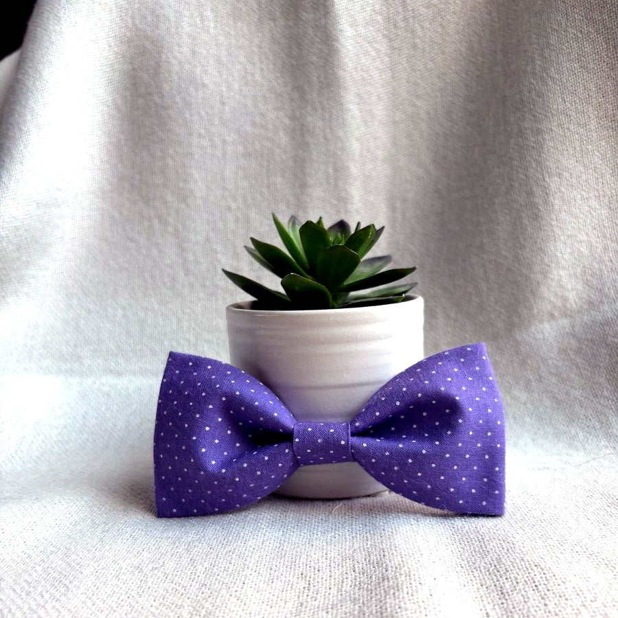 Purple Polka Dot Bow/ Bowtie