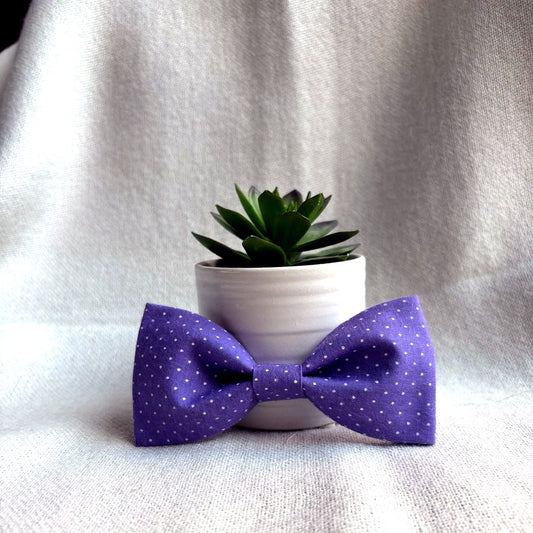 Purple Polka Dot Bow/ Bowtie